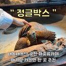정글박스 | [순천] 순천 파충류카페 정글박스 내돈내놀, 순천 아기랑 가볼만한 곳