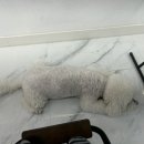 큐헤어카페 네이버블로그