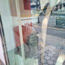 부산올포유 | 수영 올포유(관리받는 매장의 상태)