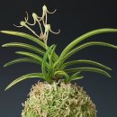 (주)미희 이미지