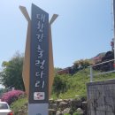 데미샘호수펜션 | 대황강 출렁다리 가족 나들이 (2021.04.18)