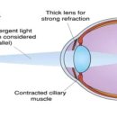 폴포이스안경 이미지