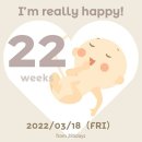 가인채 | 22주 예민 보스 산후조리원 예약 가인채