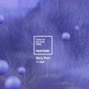 베리페리(veryperi)