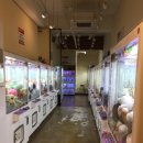 삼시뽀끼 이미지