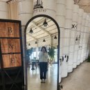 파티오6747 이미지