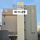 141 | 경주 황리단길 숙소 추천 141미니호텔 패밀리트윈룸 후기