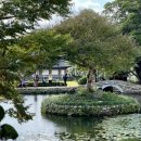 뜨락 | 진도 여행 - 고즈넉한 운림산방 즐기고 진도 맛집 운림뜨락 다녀온 후기