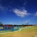 평화교통(주) 이미지