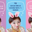 몬스터 페키니즈 이미지