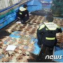 동해-단속-18 이미지