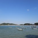 안면도바다사랑낚시 | (안면도 바다사랑 낚시 펜션) 오후쭈꾸미낚시 펜션 인당 9만원