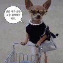 세븐일레븐 천안두정행운점 | 인연과 순간들이 내 마음 한켠에 오래도록 아로새겨진다.