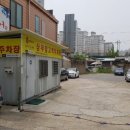 배가네동태탕 찜전문점 | [상무지구맛집]배가네 동태탕찜전문점 상무점