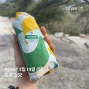 (주)비텍스 | 바프 디데이3주 /얼렁뚱땡이 한 주 일상