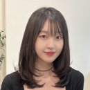 윈드헤어 이미지