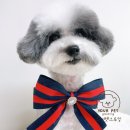 즐거운그루밍 이미지