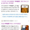명품축산도매센터 | [공지] 1.9. 최고가 명품 귤 새벽을 통한다_하례귤향3kg.위미농렵 하례