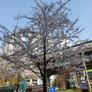 제뉴어리피크닉 | ||제뉴어리피크닉|| 한성대입구역 카페 제뉴어리피크닉 후기