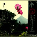 빼뻘버스정류장 이미지