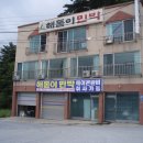 동트는집민박
