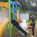 혜전대유치원 이미지