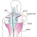 우리운동구사