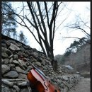 일월산산장 이미지