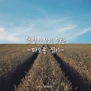 아포철물