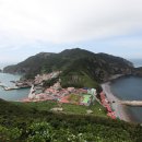 홍도야 티스토리