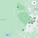 [치앙마이 3주살기] 엘리펀트 프렌즈 코끼리 투어 후기