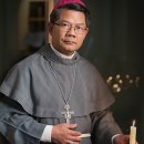 19/01/11 Australian prelate condemns mass eviction in Vietnam - Vietnamese-born bishop says state media reports do not accord with testimonies of vict 이미지