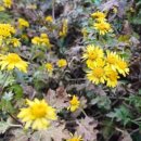 이규행가옥 이미지