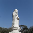 01-12 동구 이미지