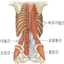 스킨타임스파 마곡발산점