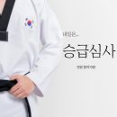 태권슐레 이미지