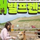 제주프렌즈 이미지
