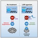 LXR 작용제, 'MDSC 타깃' 면역항암제로 잠재력 부각 이미지