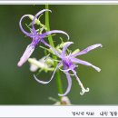 시원한바람 이미지