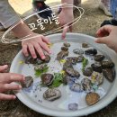 꿈꾸는강아지 | 아이와 가볼만한곳 숲체험후기 꿈꾸는애벌레자연놀이학교