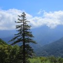 산내면 삼화마을 이미지