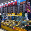 CU 송파하비오3호점 | [서울_송파] 가락시장 수산시장 민어회 맛집 추천 <영흥수산> 내돈내산