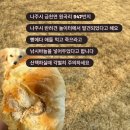 나주낚시 네이버블로그