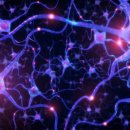 이스라엘의 새로운 연구에서 자폐증과 뇌 뉴런의 산화질소 수치 사이의 연관성이 밝혀졌습니다. 이미지
