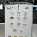 강릉순두부젤라또