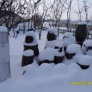 고양농장 이미지