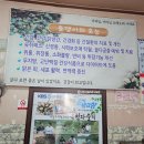 금강식품 | 대전맛집, 송촌동 현지인 올갱이국밥맛집 &#39;금강옥천올갱이&#39;