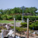 다향정 | [통영 오리 맛집] 통영다향정 용남면 오리 전문점 - 오션뷰 점심 맛집 추천