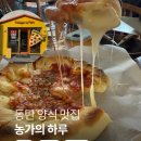 농가맛집 밀 | 동탄 [농가의 하루] 본점 내돈내산 솔직후기/풍자 또간집 피자,생면 파스타 맛집