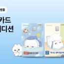 케이 이미지